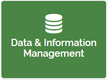 Data and Information Management